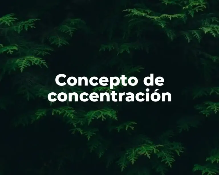 Concepto de concentración