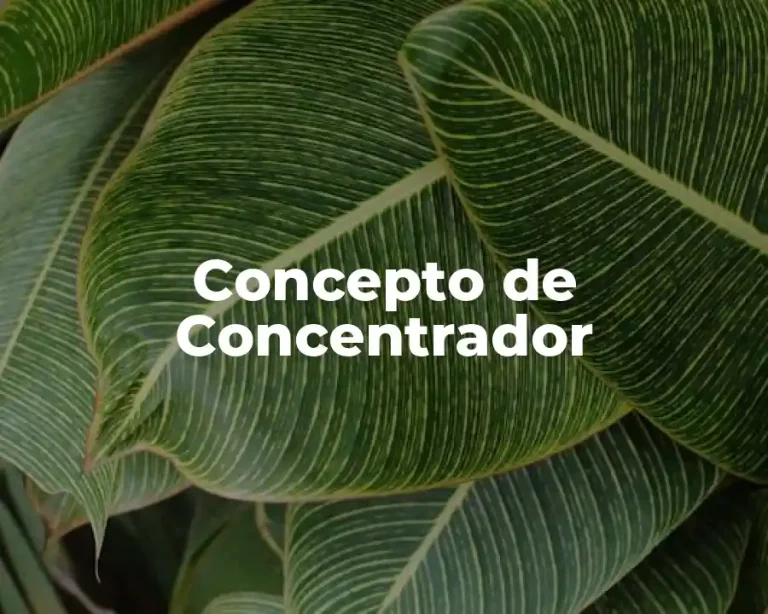 Concepto de Concentrador