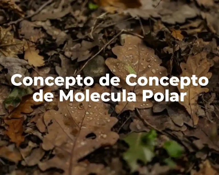 Concepto de Concepto de Molecula Polar