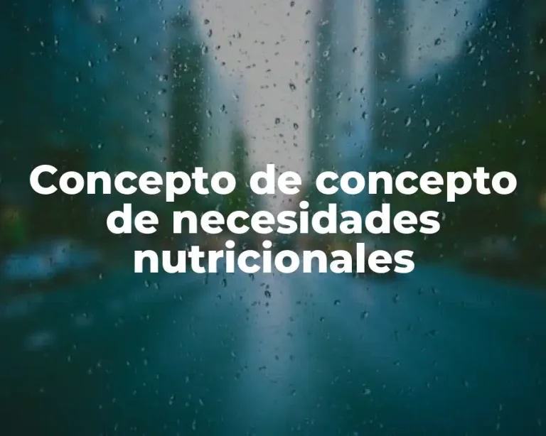 Concepto de concepto de necesidades nutricionales