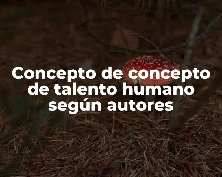 Concepto de concepto de talento humano según autores
