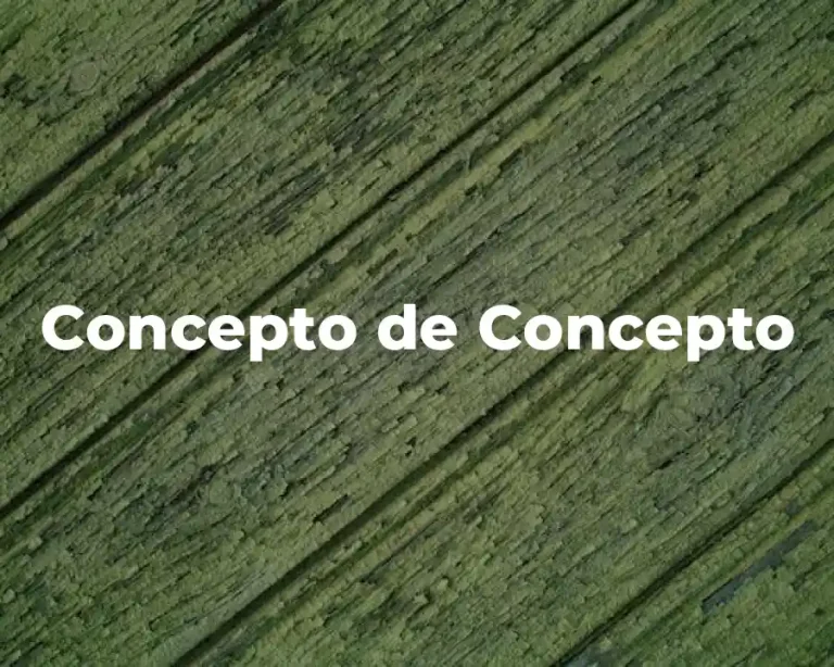 Concepto de Concepto