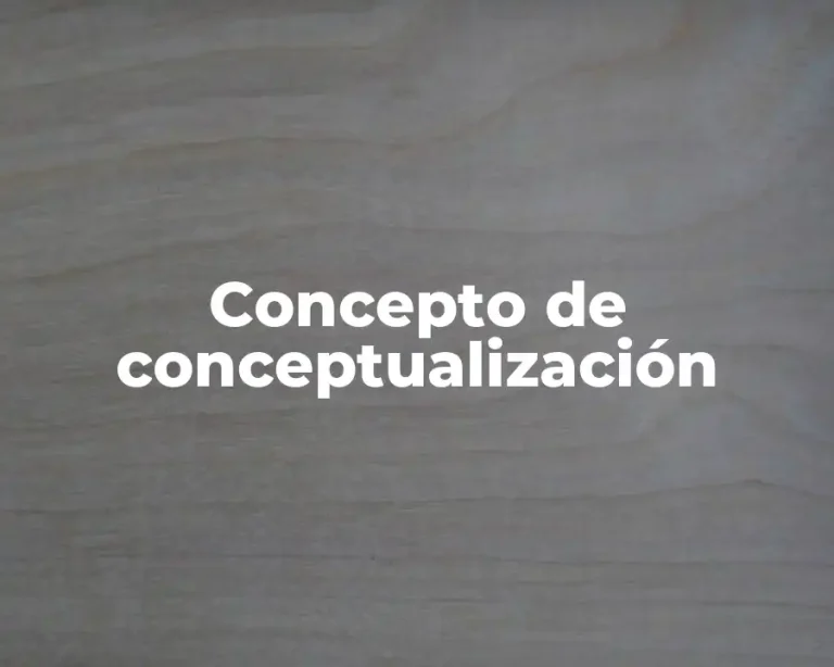 Concepto de conceptualización