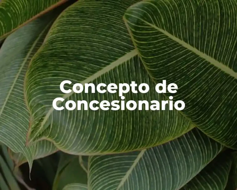 Concepto de Concesionario