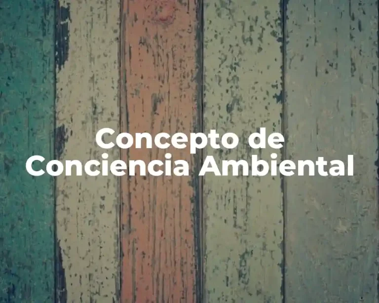 Concepto de Conciencia Ambiental