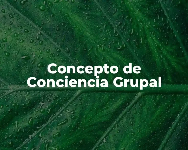 Concepto de Conciencia Grupal