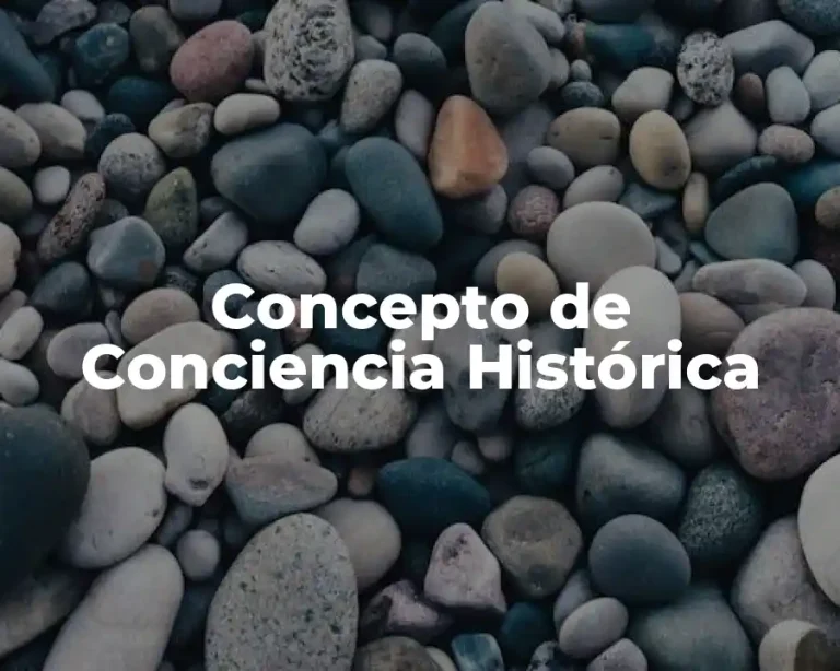 Concepto de conciencia histórica