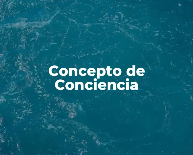 Concepto de Conciencia