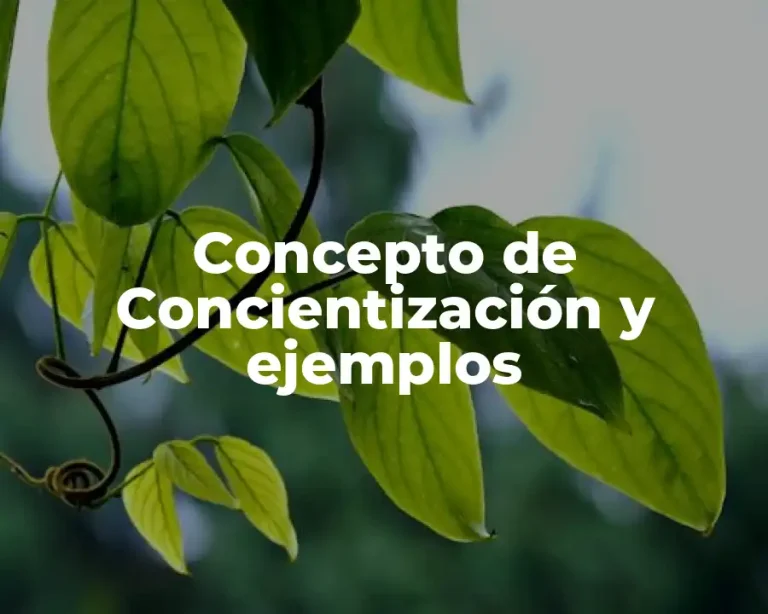 Concepto de Concientización y ejemplos