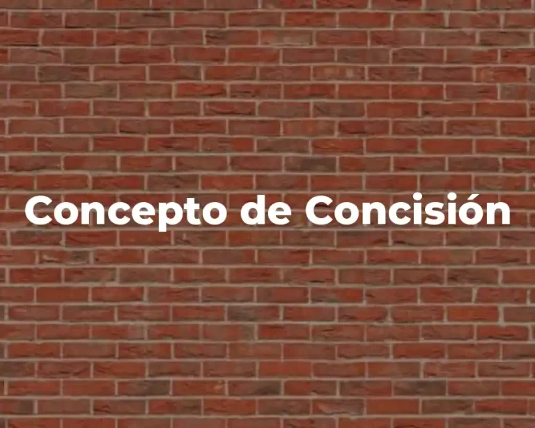 Concepto de Concisión