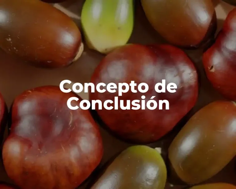 Concepto de Conclusión
