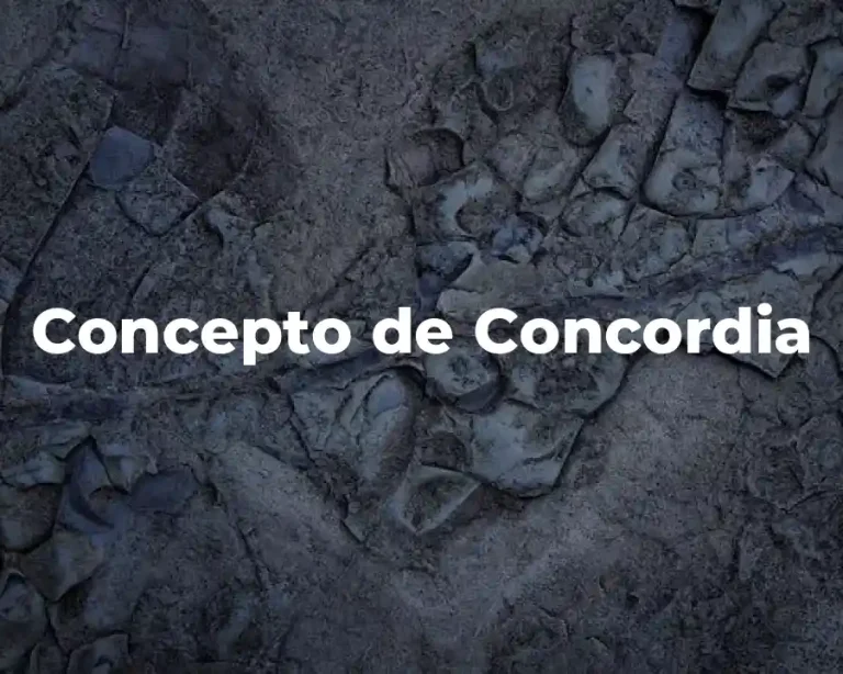 Concepto de Concordia