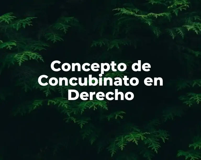 Concepto de Concubinato en Derecho
