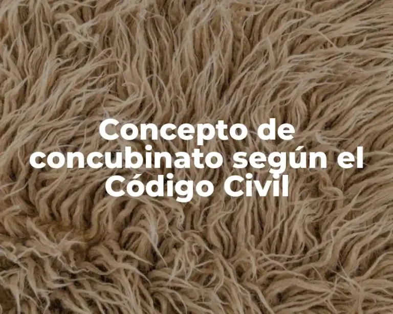 Concepto de concubinato según el Código Civil