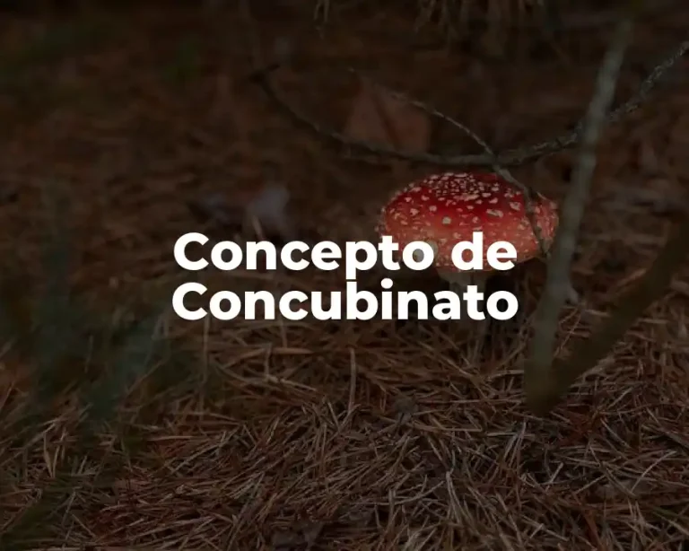 Concepto de Concubinato