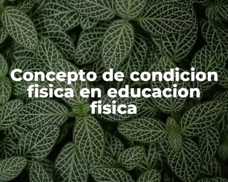 Concepto de condicion fisica en educacion fisica