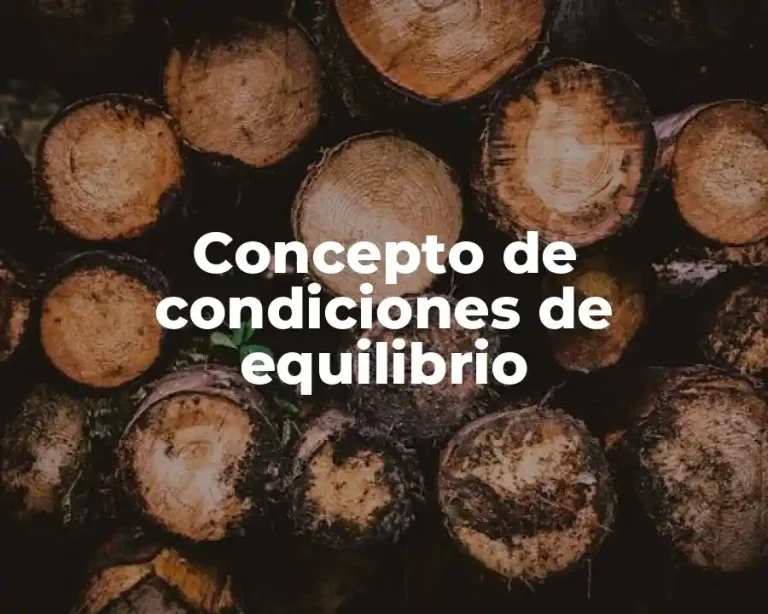 Concepto de condiciones de equilibrio