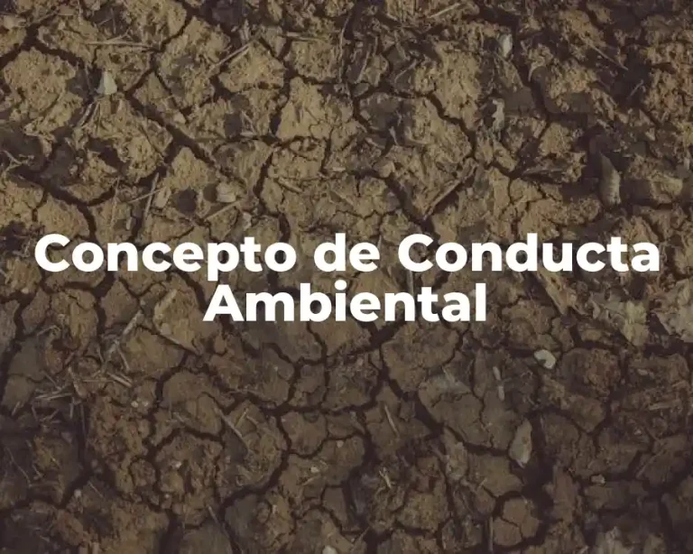 Concepto de Conducta Ambiental