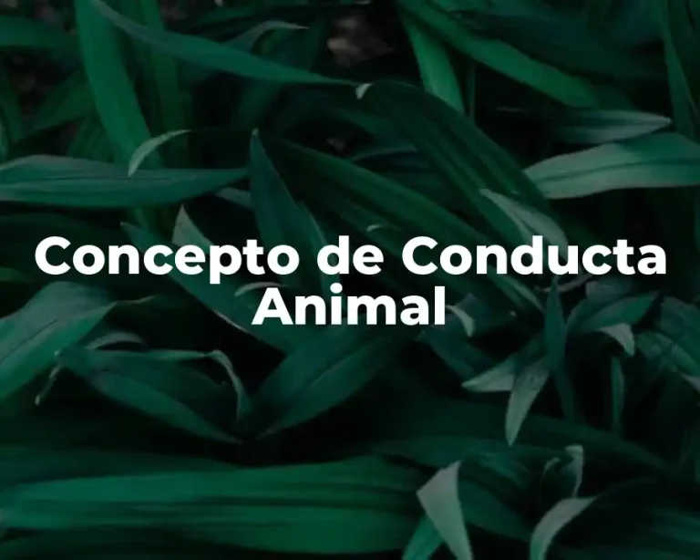 Concepto de Conducta Animal