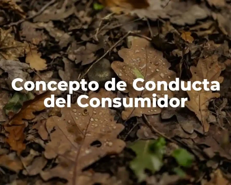 Concepto de Conducta del Consumidor