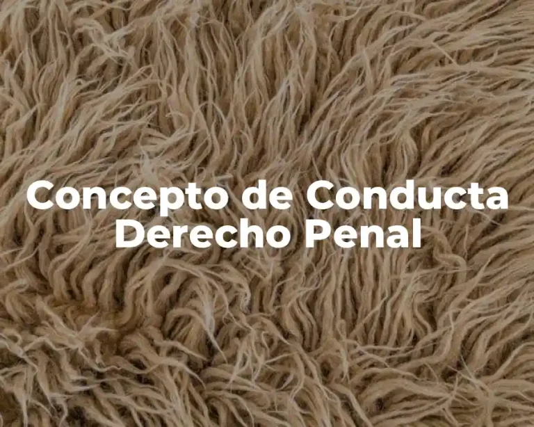 Concepto de Conducta Derecho Penal