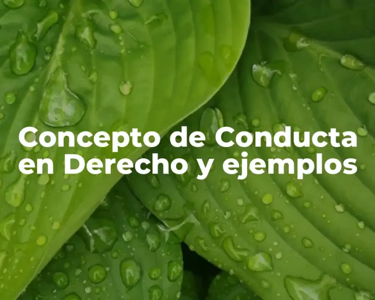 Concepto de Conducta en Derecho y ejemplos