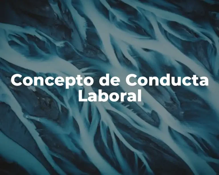 Concepto de Conducta Laboral