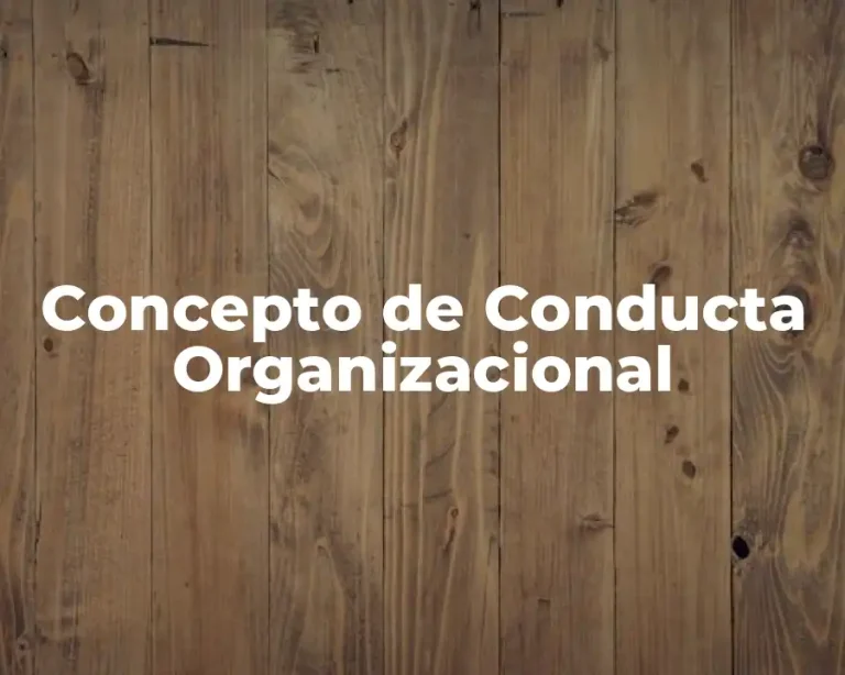 Concepto de Conducta Organizacional