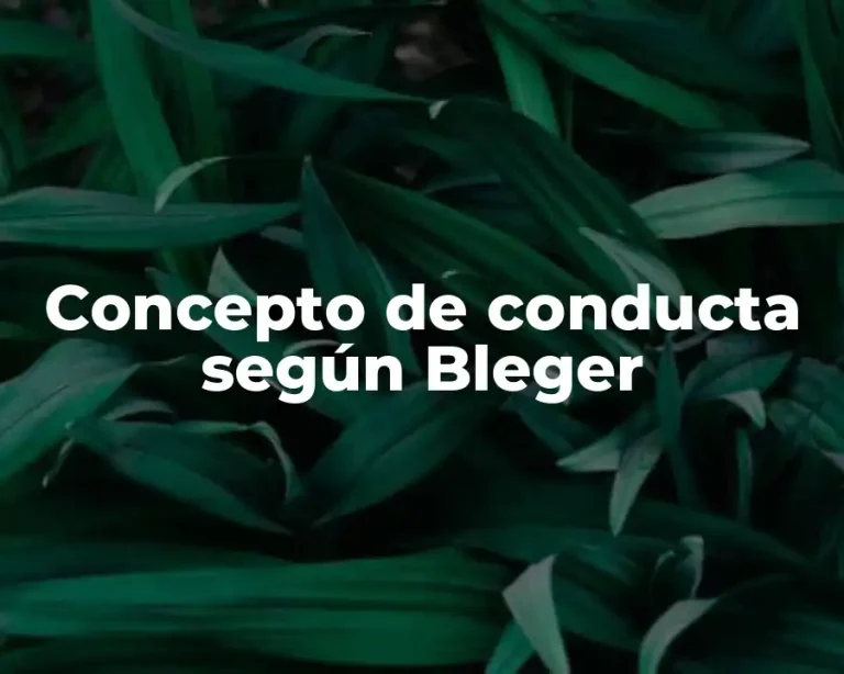 Concepto de conducta según Bleger