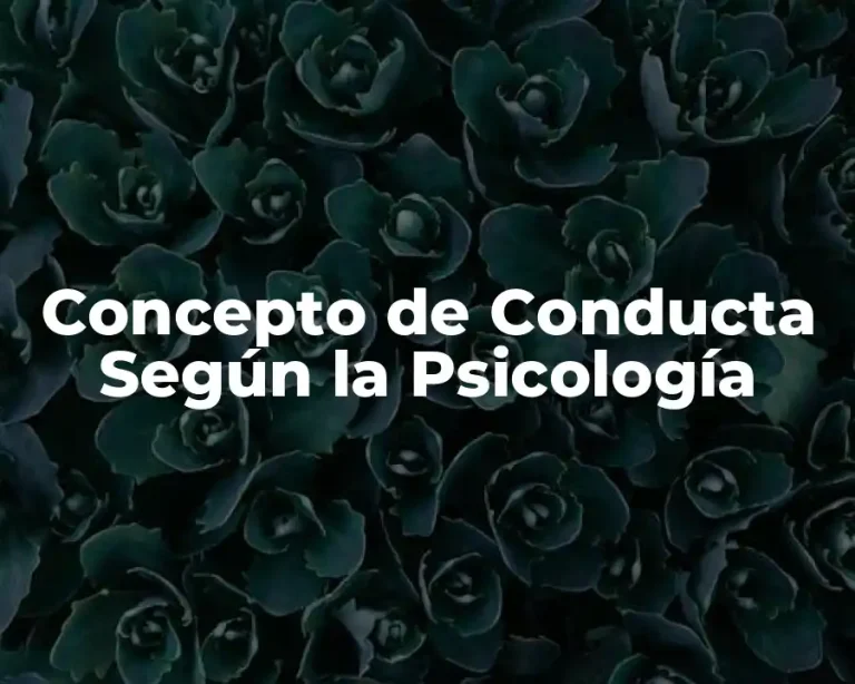 Concepto de Conducta Según la Psicología