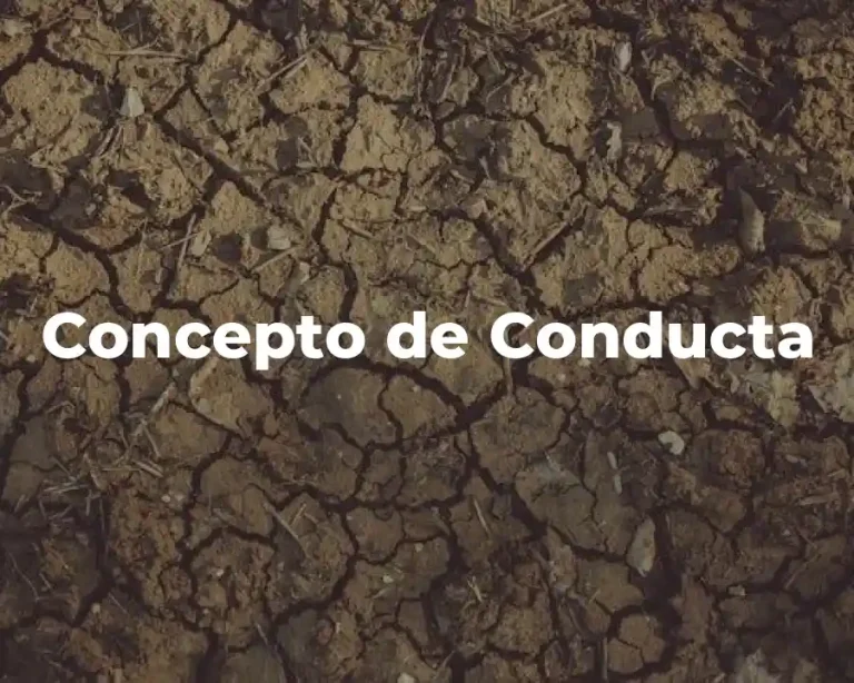 Concepto de Conducta