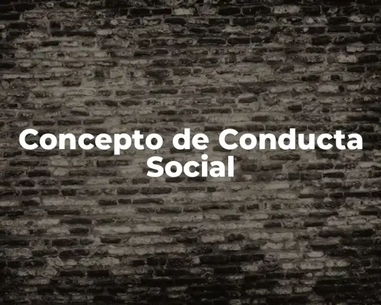 Concepto de Conducta Social