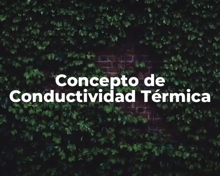Concepto de Conductividad Térmica