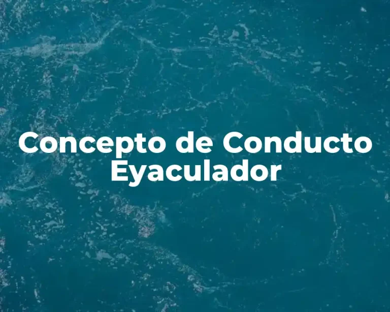 Concepto de Conducto Eyaculador