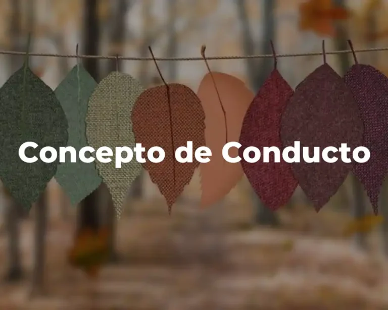 Concepto de Conducto