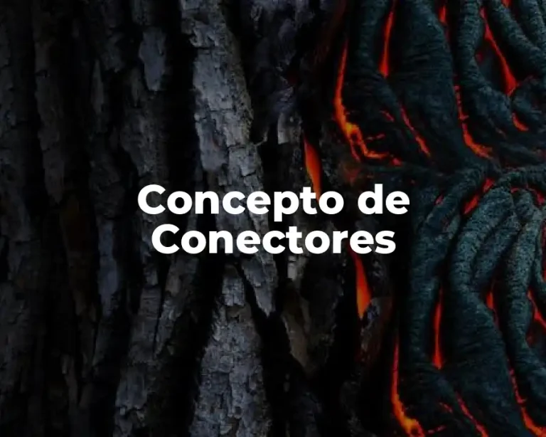 Concepto de Conectores