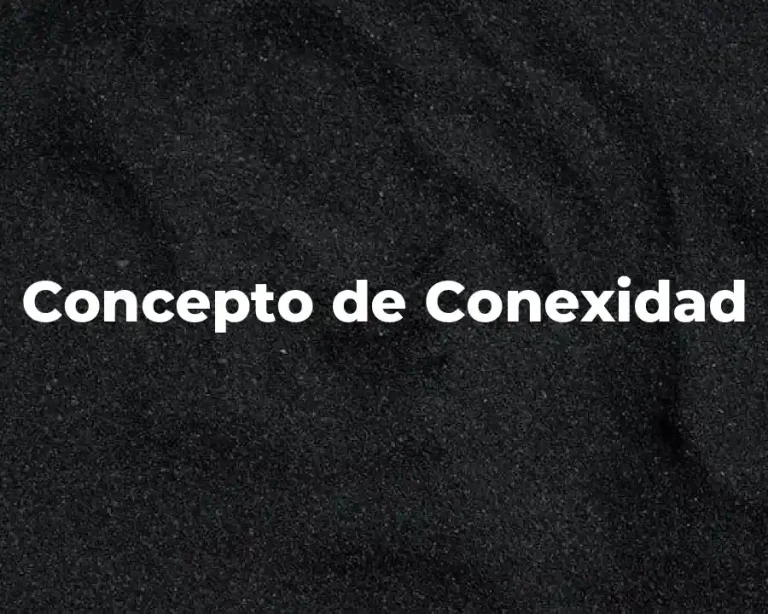Concepto de Conexidad