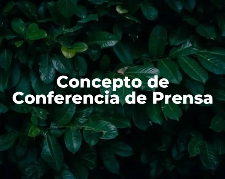 Concepto de Conferencia de Prensa