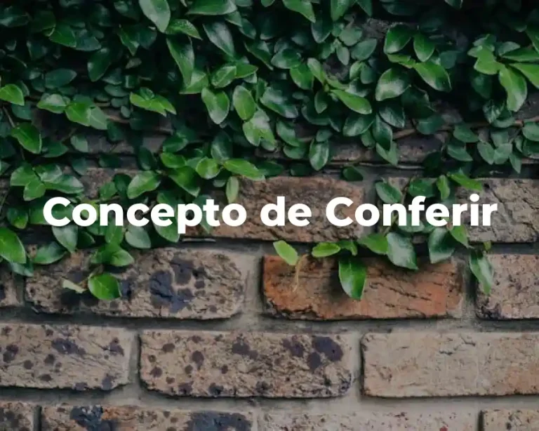 Concepto de Conferir