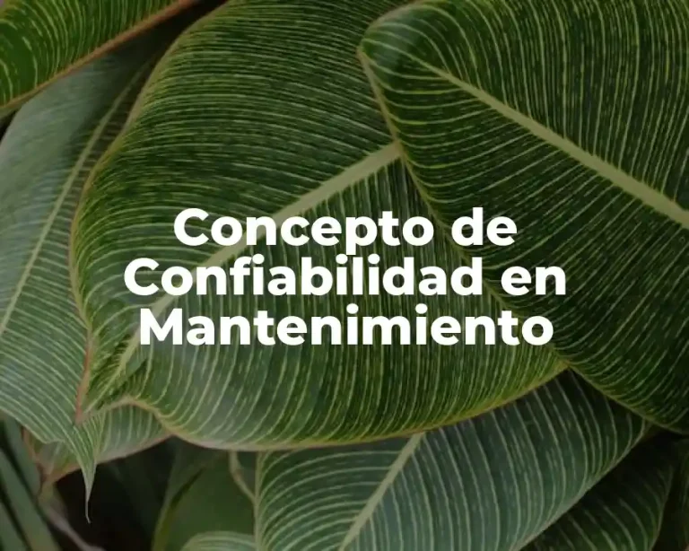 Concepto de Confiabilidad en Mantenimiento