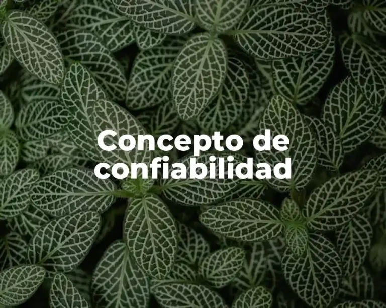 Concepto de confiabilidad
