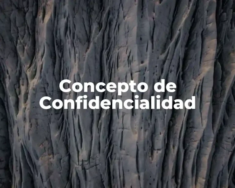 Concepto de Confidencialidad