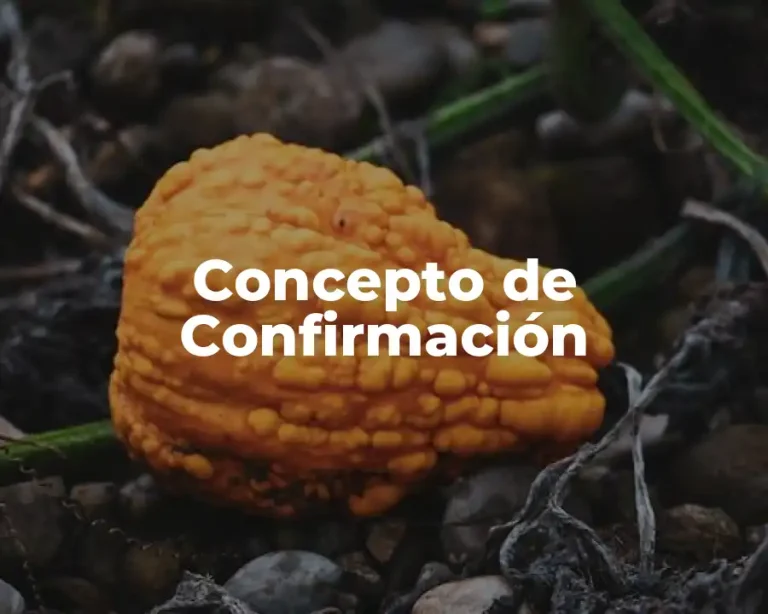Concepto de Confirmación