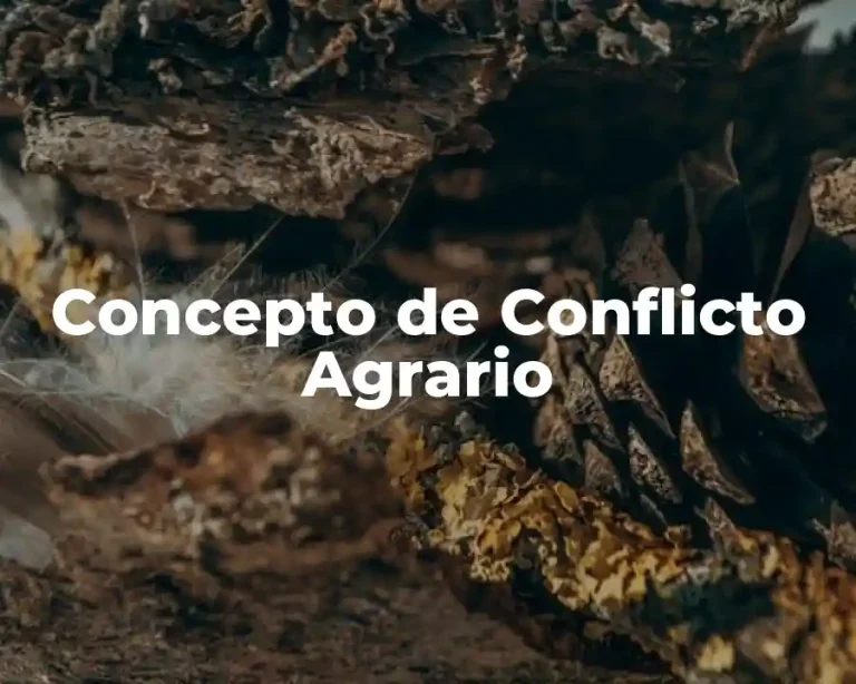 Concepto de Conflicto Agrario