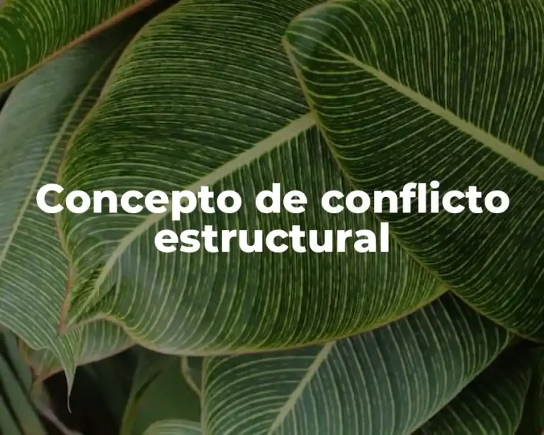 Concepto de conflicto estructural