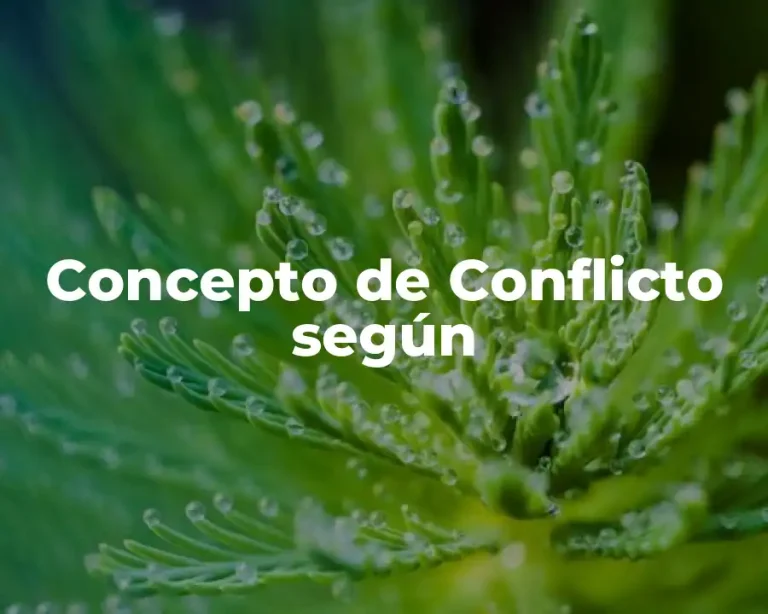 Concepto de Conflicto según