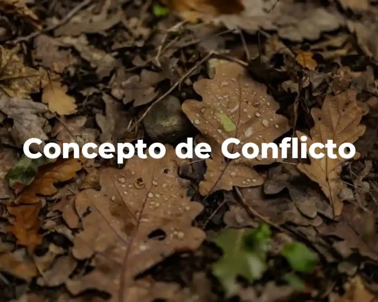 Concepto de Conflicto