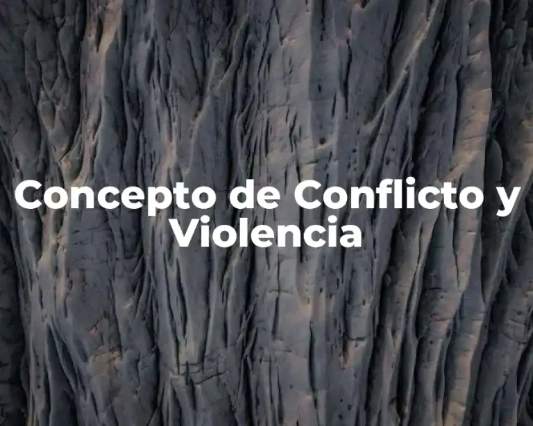 Concepto de Conflicto y Violencia