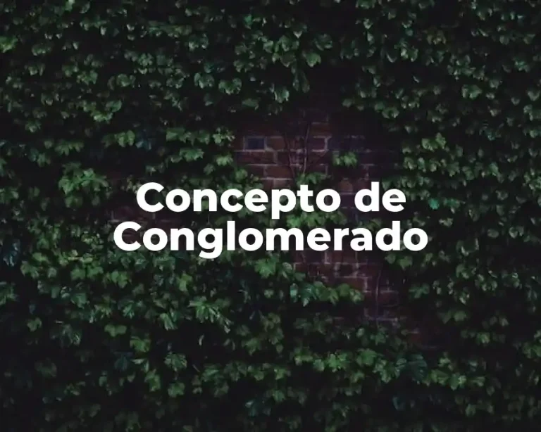 Concepto de Conglomerado