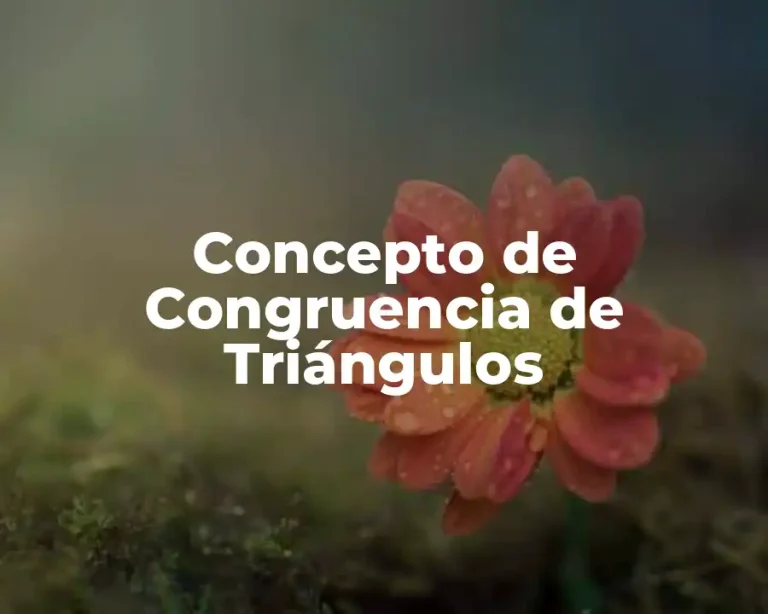 Concepto de Congruencia de Triángulos